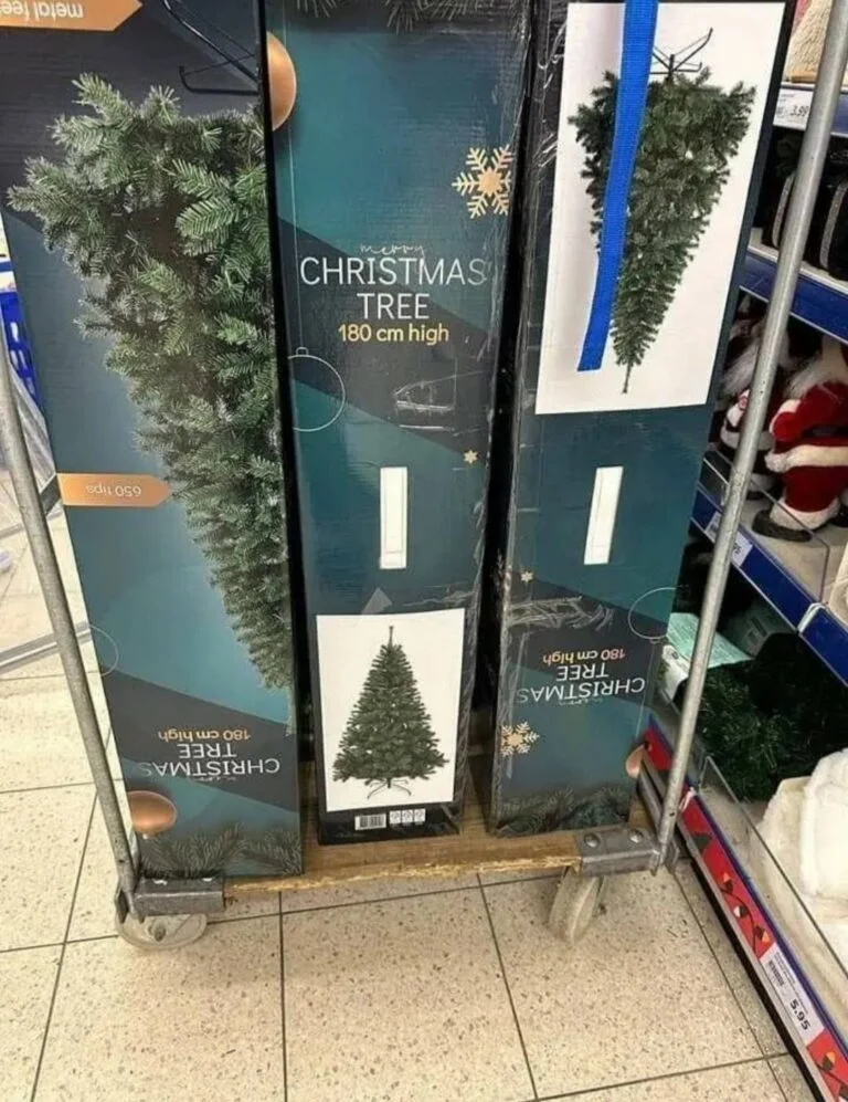 Christmas Trees